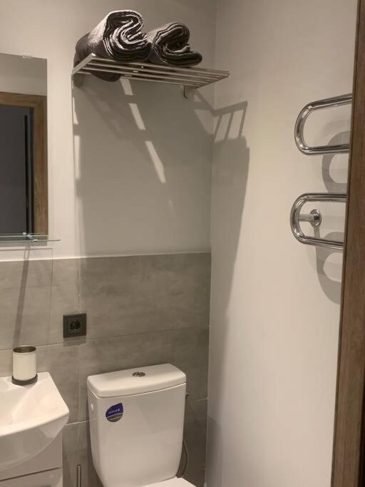 Apartment Near Ozas Vilnius